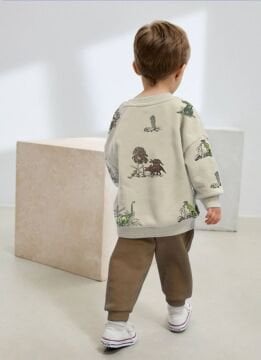 Kahve Dinozor Takım