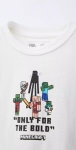 Minecraft Takım